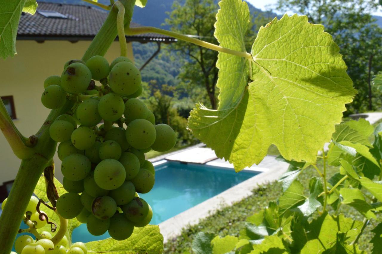 Holiday Home Jelovcerjeva Idrija pri Baci Exterior foto